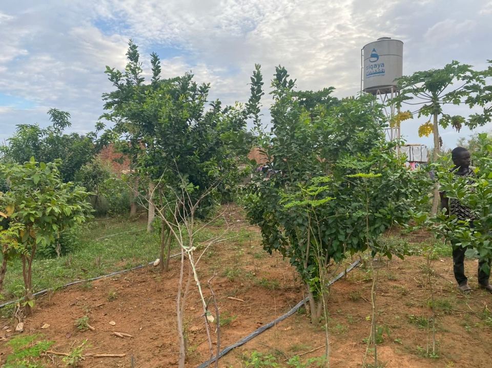 Action SIQAYA — jardins potagers — photo 34 sur 83