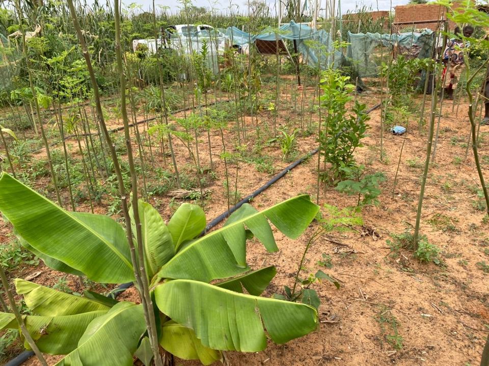 Action SIQAYA — jardins potagers — photo 44 sur 83